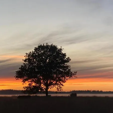Escape In The Veluwe Woods *