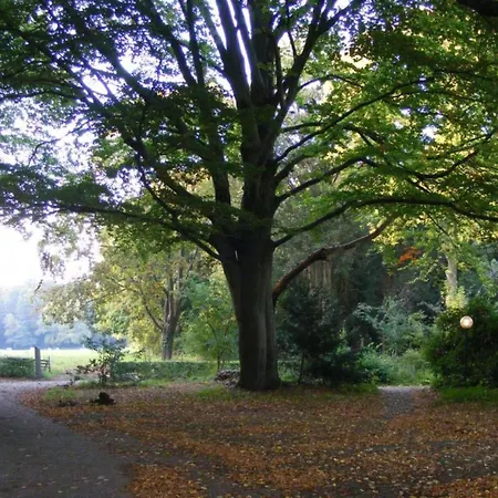 In Veluwe Near Forest Trails Дом отдыха *
