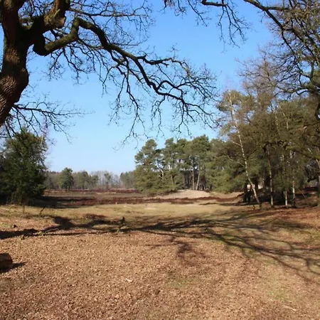 Дом отдыха In Veluwe Near Forest Trails *