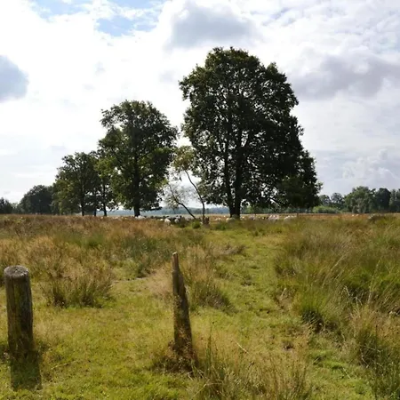 In Veluwe Near Forest Trails Пюттен