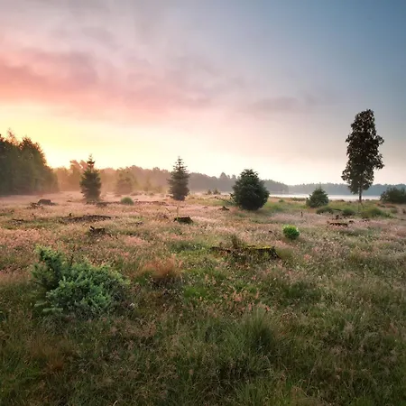 In Veluwe Near Forest Trails Дом отдыха