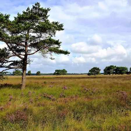 Дом отдыха In Veluwe Near Forest Trails