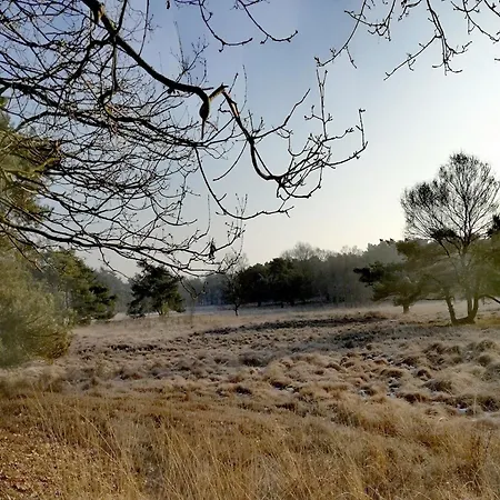 In Veluwe Near Forest Trails Дом отдыха Пюттен