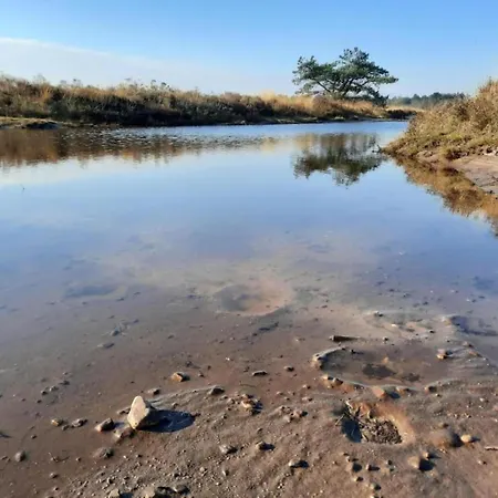 In Veluwe Near Forest Trails *